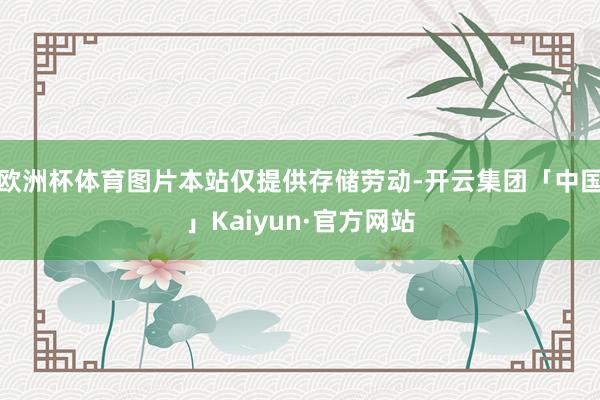 欧洲杯体育图片本站仅提供存储劳动-开云集团「中国」Kaiyun·官方网站