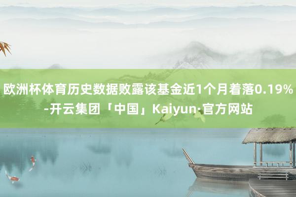 欧洲杯体育历史数据败露该基金近1个月着落0.19%-开云集团「中国」Kaiyun·官方网站