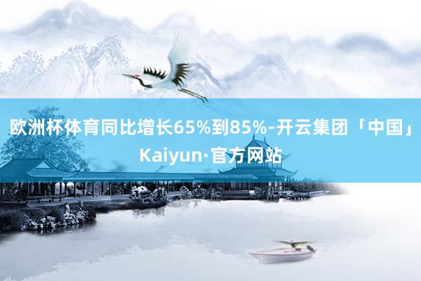 欧洲杯体育同比增长65%到85%-开云集团「中国」Kaiyun·官方网站