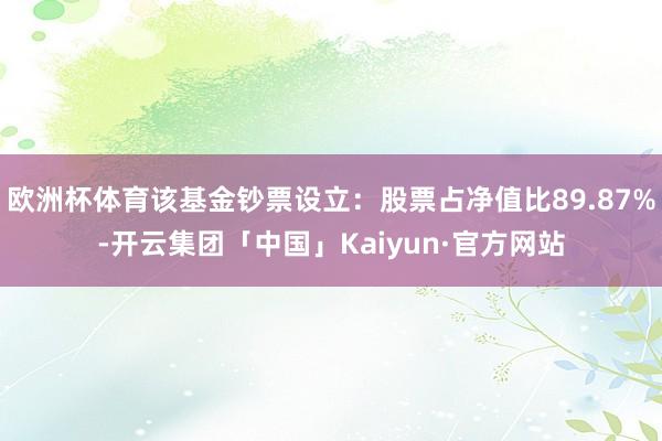 欧洲杯体育该基金钞票设立：股票占净值比89.87%-开云集团「中国」Kaiyun·官方网站