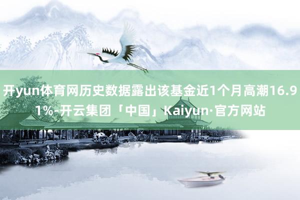 开yun体育网历史数据露出该基金近1个月高潮16.91%-开云集团「中国」Kaiyun·官方网站