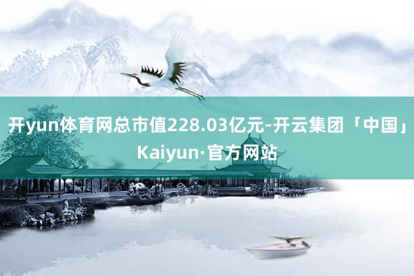 开yun体育网总市值228.03亿元-开云集团「中国」Kaiyun·官方网站