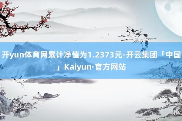 开yun体育网累计净值为1.2373元-开云集团「中国」Kaiyun·官方网站