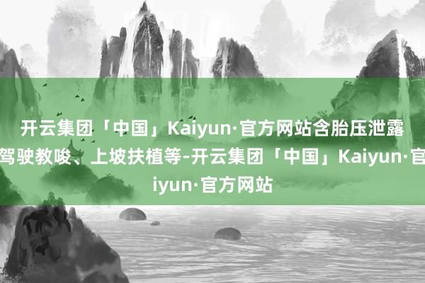 开云集团「中国」Kaiyun·官方网站含胎压泄露、疲惫驾驶教唆、上坡扶植等-开云集团「中国」Kaiyun·官方网站