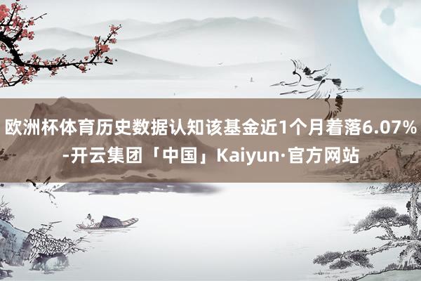 欧洲杯体育历史数据认知该基金近1个月着落6.07%-开云集团「中国」Kaiyun·官方网站