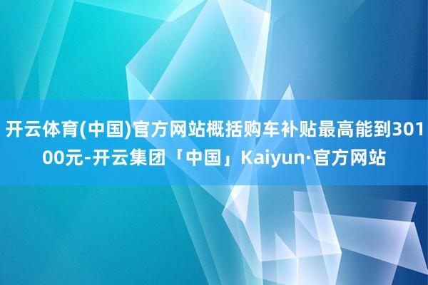 开云体育(中国)官方网站概括购车补贴最高能到30100元-开云集团「中国」Kaiyun·官方网站