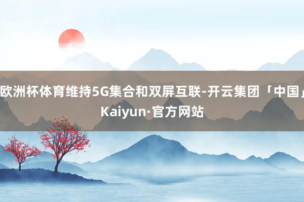 欧洲杯体育维持5G集合和双屏互联-开云集团「中国」Kaiyun·官方网站